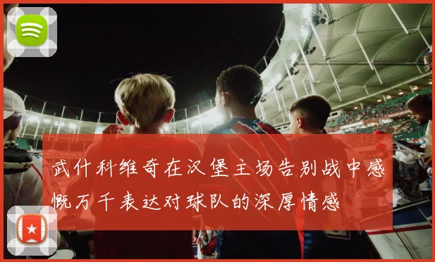 武什科维奇在汉堡主场告别战中感慨万千表达对球队的深厚情感